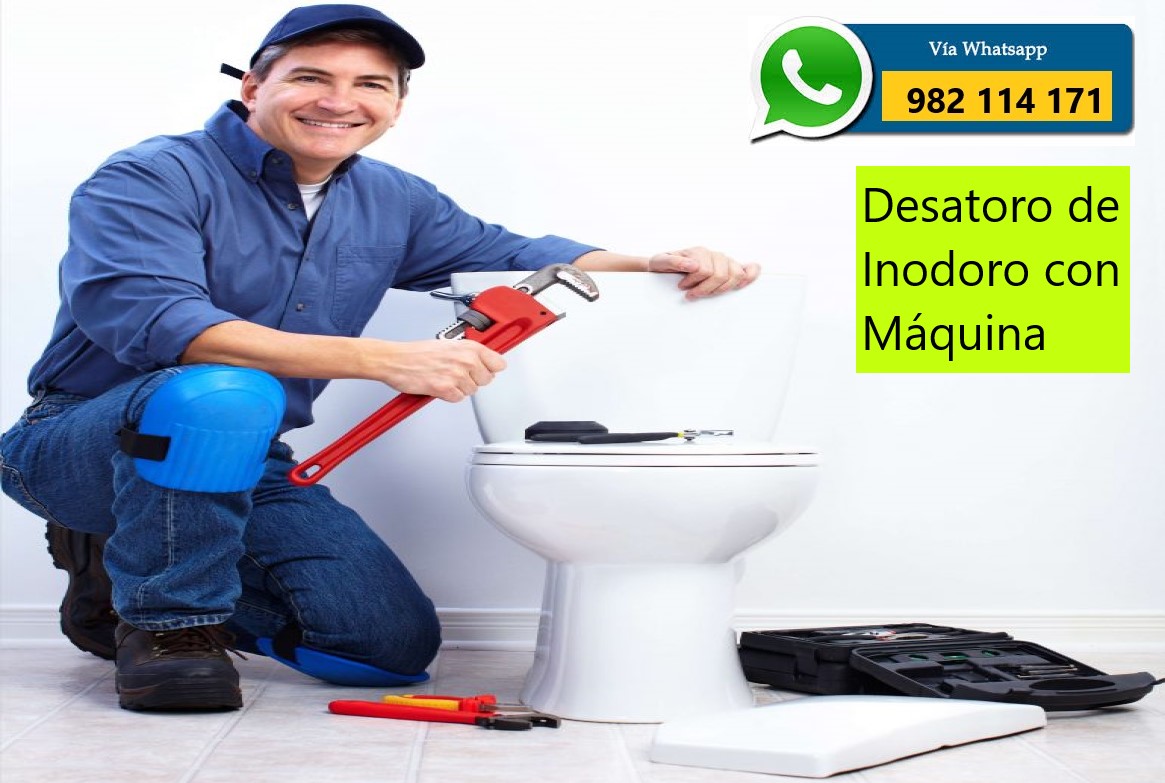 DESATORO DE WATER, INODORO CON MAQUINA en Lima