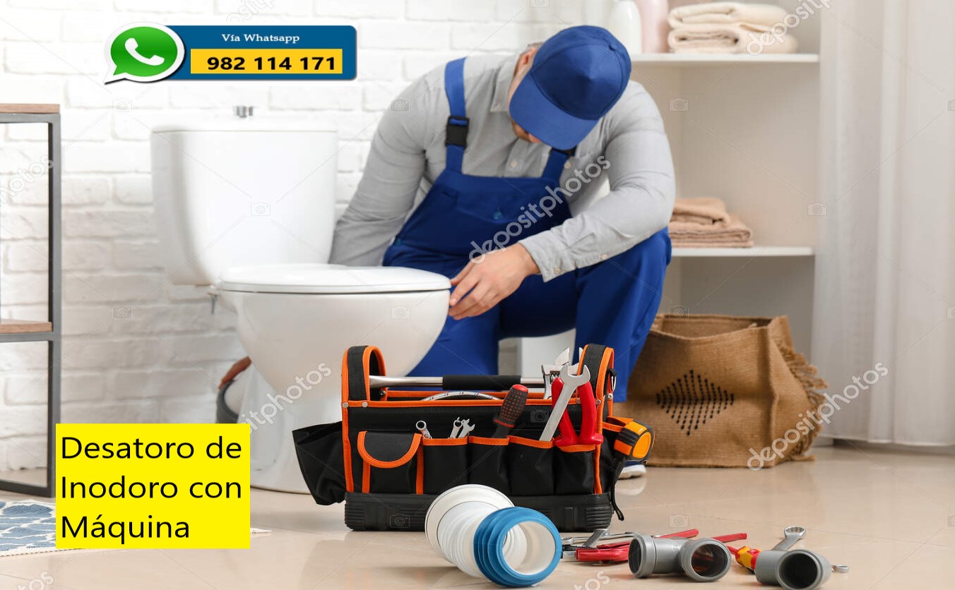 DESATORO DE WATER, INODORO CON MAQUINA en Lima